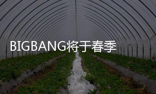 表新开Y毒离G将季发曲 于春P吸成员